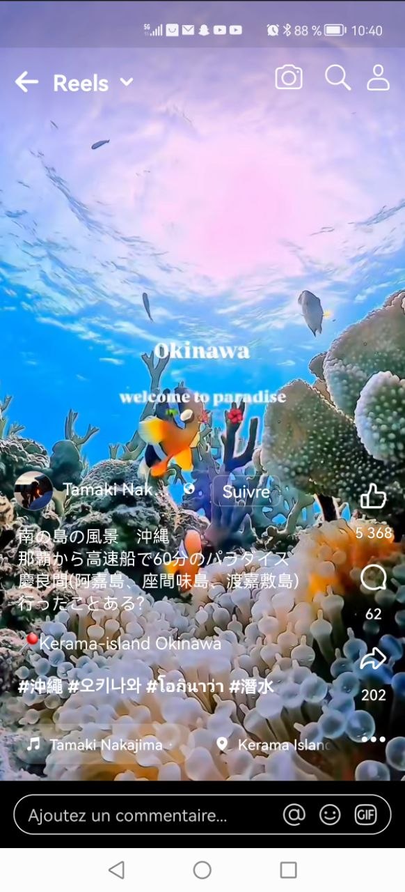 Snorkeling Kerama Okinawa coraux poissons